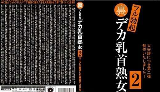 裏フル勃起デカ乳首熟女2 マニアが厳選した垂涎の20名